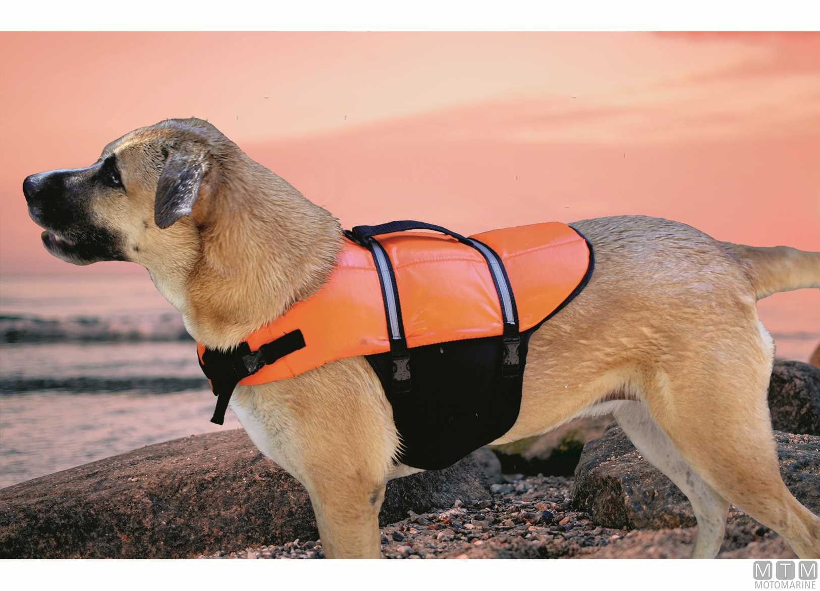 Elleppi Nautica